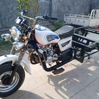 ستوته • ٢٠١٤ • شاصي مكفول