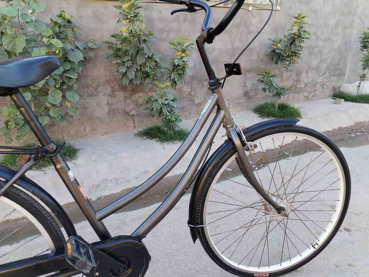 السلام عليكم بايسكل للبيع ياباني اصل حجم 26 وكاله شركه تايرات مكينه سوبايه كله جديد السعر خاص أو للاستفسار *********** مكان بابل الحمزه الغربي
