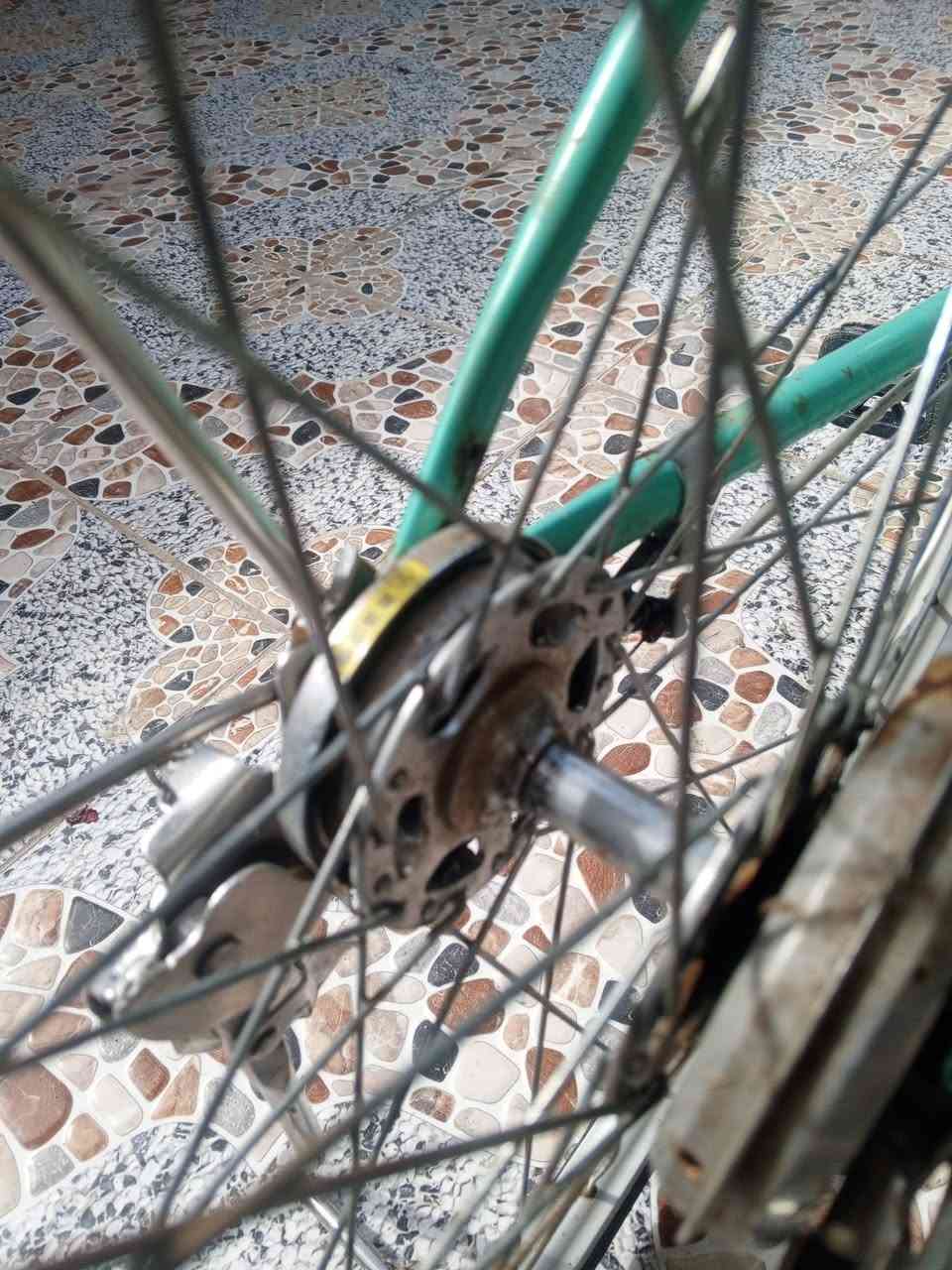 السلام عليكم الباسكل للبيع وبي مجال حك الجيه 🙂‍↔️السعر 100وبي مجال مكاني كربلاء اطويريج الجدول الغربي الرجيبه الستفسار ***********🚲
