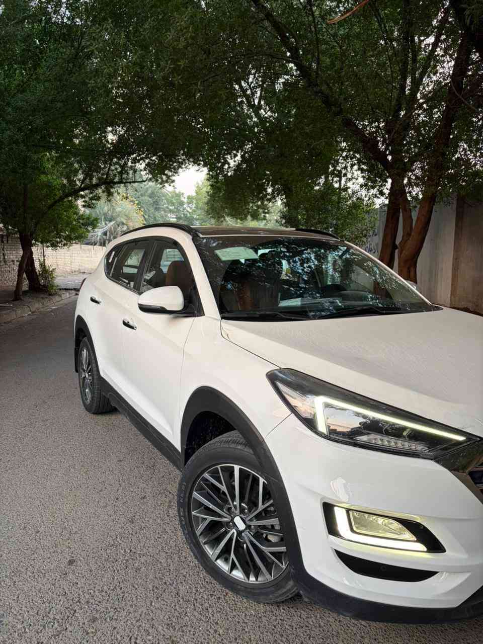 السلام عليكم
توسان ٢٠١٩ خليجي
ماشيه ٥١
فول مواصفات
بصمه
بانوراما
كشنات كهرباء
تبريد قطعتين
شاشه كبيره
مثبت سرعه
مود درايف
مرايه شفط
بيها صبغ ب البنيد شويه والدعاميه الخلفيه وصور السونار ب المنشور مكان السياره بغداد
السعر ١٨٧ ورقه وبيها مجال
للاتصال ***********
