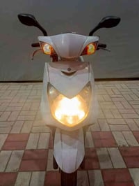 سكنس فحل جديد مكفوله كفاله عامه مكينه ناعمه حيل بلادي علفحص شلعه معدل ...