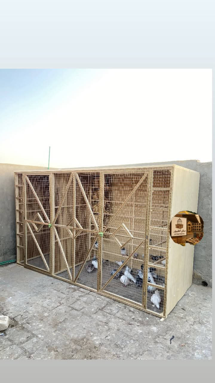 عنواني نجف  ***********
عنوان نجف 

برج طيور يتفصخ وينشد

نعمل حسب الطلب واي تصميم يعجبكم 

الطول 175cm

العرض 300cm 

النزال  125cm

سعر البرج 275 مع الشد  

المكان النجف ☎️ للتواصل⁩ :***********

#قفص_طيور #طيور_المرجان #مستلزمات_الطيور #كوكتيل #ببغاء #قفص_عملي #قفص_انيق #طير-#حب##بلابل_ب
