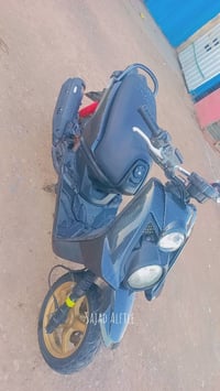 سكنس  جبلي للبيع  بغداد 07748557446