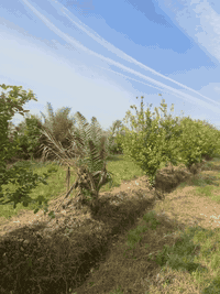 السلام عليكم 
بستان للبيع 
2 دونم طابو بأسمي 
سعر مناسب 
كامل خدمات من كلشي 
يصلح سكن او استثمار 
يبعد عن الشارع 200 متر 
المدائن سلمان باك 
بداية الخناسة 
للاستفسار اكثر 
***********
