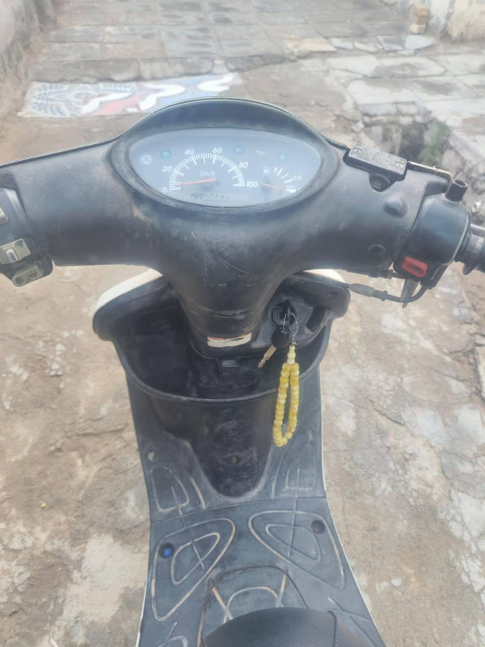 دولفين فحل ياباني كهربايات شغاله سلف نعومه معدل نضافه شوفت العين ٣٠٠ بيهه مجال


**إذا كنت صاحب هذا الإعلان وتريد حذفه لأي سبب، رجاءا أرسل رسالة إلى الدعم الفني**