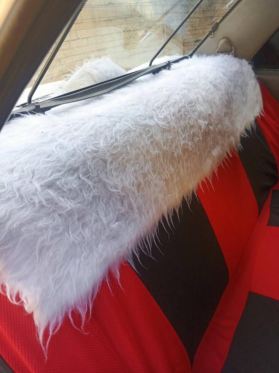 السلام عليكم براتون 2002رقم بغداد دولي السياره ع البلاد لا ظربه ولا صبغ عد طخه بجلملغ الخلفي من جهت الصدر تبريد تدفئه كير مكينه زوج تاير جديد امامي السياره حلوه ومال بيت متعوب عليه السعر 47المكان تكريت ***********
