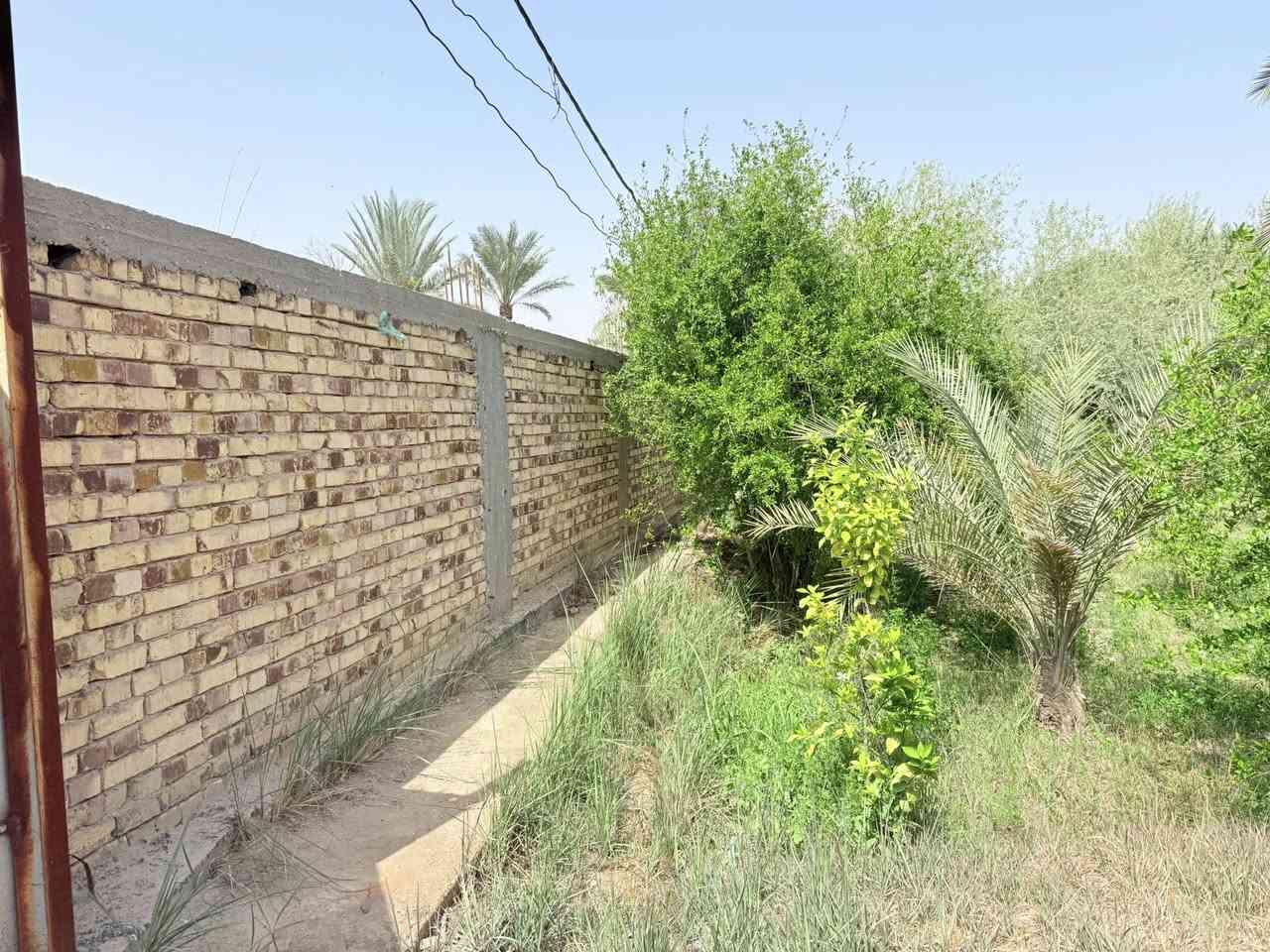 #للبيع 

مزرعة مساحة 4000 متر ، زراعي 
تحتوي على بيت طابقين هيكل 

موقعها : طريق ديوانية - سنية على جهة الزوار 
١٤٠ متر عن الشارع العام ، التبليط واصل لبابها مسيجه بطابوك و دنك صب 

الاتصال على الرقم ***********
