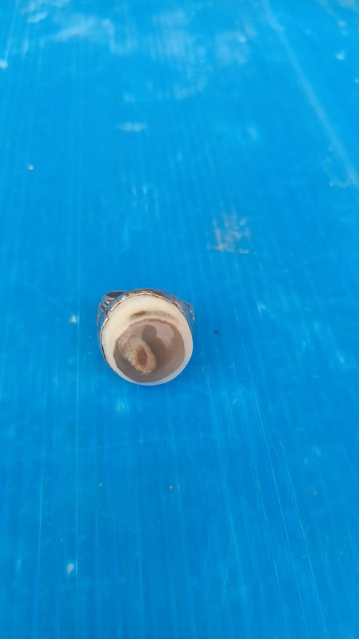 ياقوت زفير حجر سلاطين 

بقري وسليماني 2   السعر 200

المكان بغداد المعامل الحسينيه 

الرقم ‏‪***********‬‏
