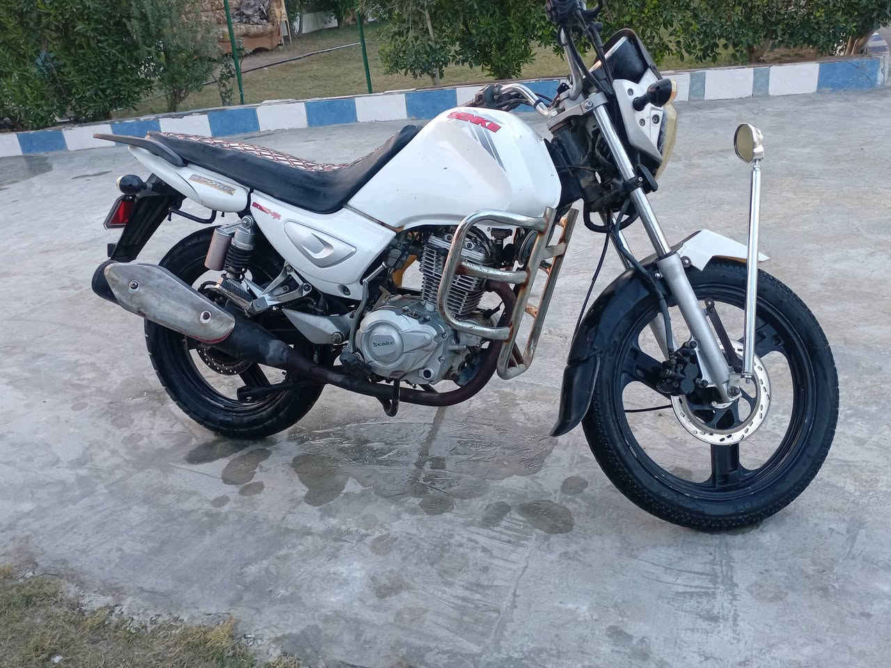 سلام عليكم سنكي للبيع السعر ٦٥٠ رقم الهاتف ***********
