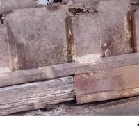 سكس سويدي • تعلاوات • الزبير