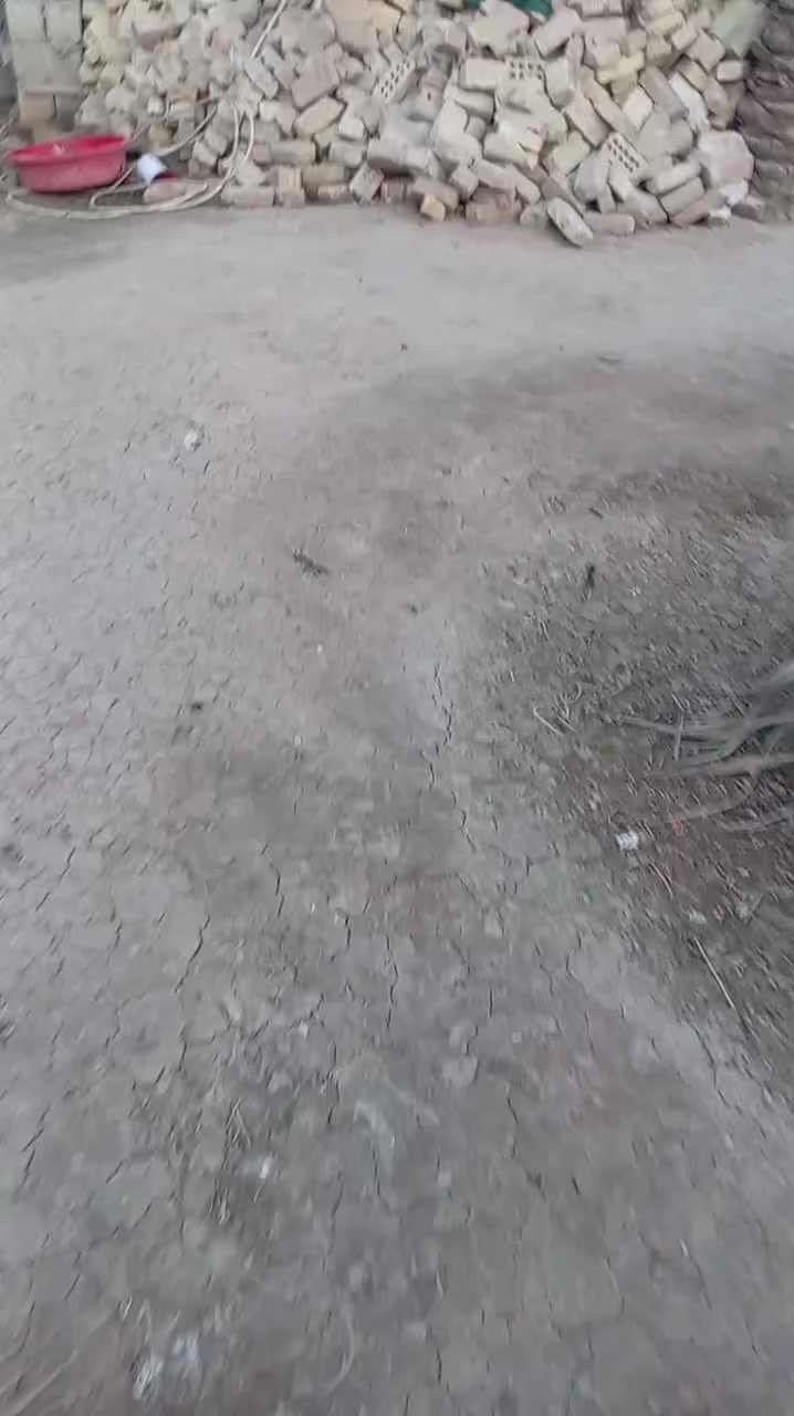 🏡 قطعة أرض سكنية للبيع
📃 عقد 117
🔹 المساحة: 500 متر مربع
تحتوي على هيكل (2غرفة نوم وصالة ومطبخ وصحيات) تحتوي على نخل (برحي وزهدي والوان) 
⚙️ خدمات كاملة:💧ماء⚡كهرباء 🛣️ تبليط
📍 الموقع: العبايجي - شارع افران المنتظر
💰 السعر المطلوب: 35 مليون دينار عراقي وفيه مجال 
📞 للاستفسار الاتصال على:
📲 ***********
📲 ***********
📍 أو مراجعة مقر المكتب الكائن في:
(العبايجي – المصلحية – مقابل شارع البحطاب)
