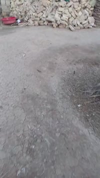 العبايجي • ٥٠٠م • هيكل ٢غرف