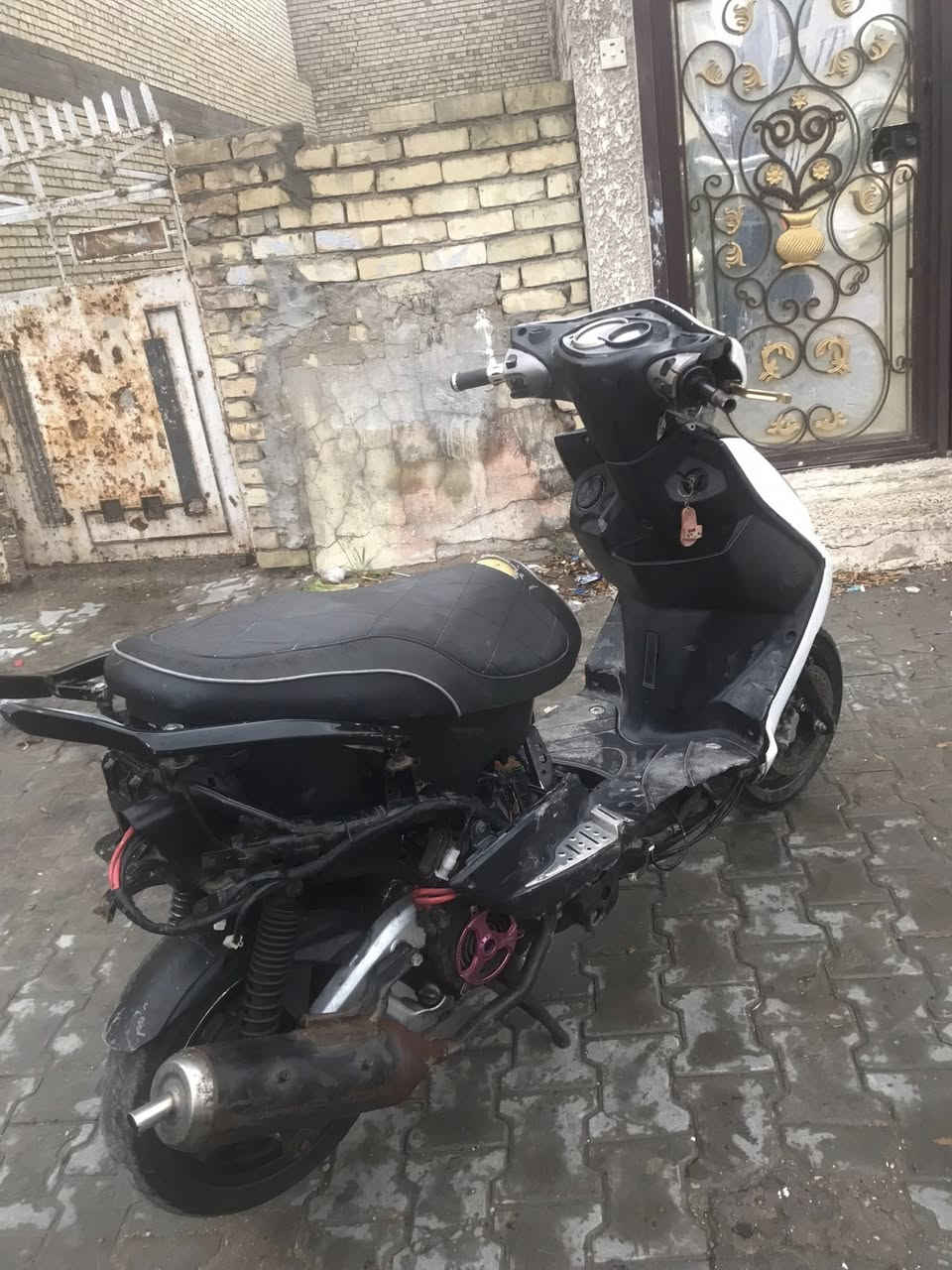 سلام عليكم سكنس فحل نوزل مكينه 63 فشك محفوره 66 كور صليب روله جبيره ذراع طويله بيها تعلاوه خفيفه جويتر كوسو34 منضومه كامله نوزل 10 زرف كوسو كلجات مطابقات صالنصه ماركه اجت بيها مناك دراجه قويه كلش نقوصاتها مبينه بالصور وبيها فيت بم ضعيف الدراجه نكره وصافيه عنوان بغداد الشعب حي اور *********** سعر 700 بيها مجال
