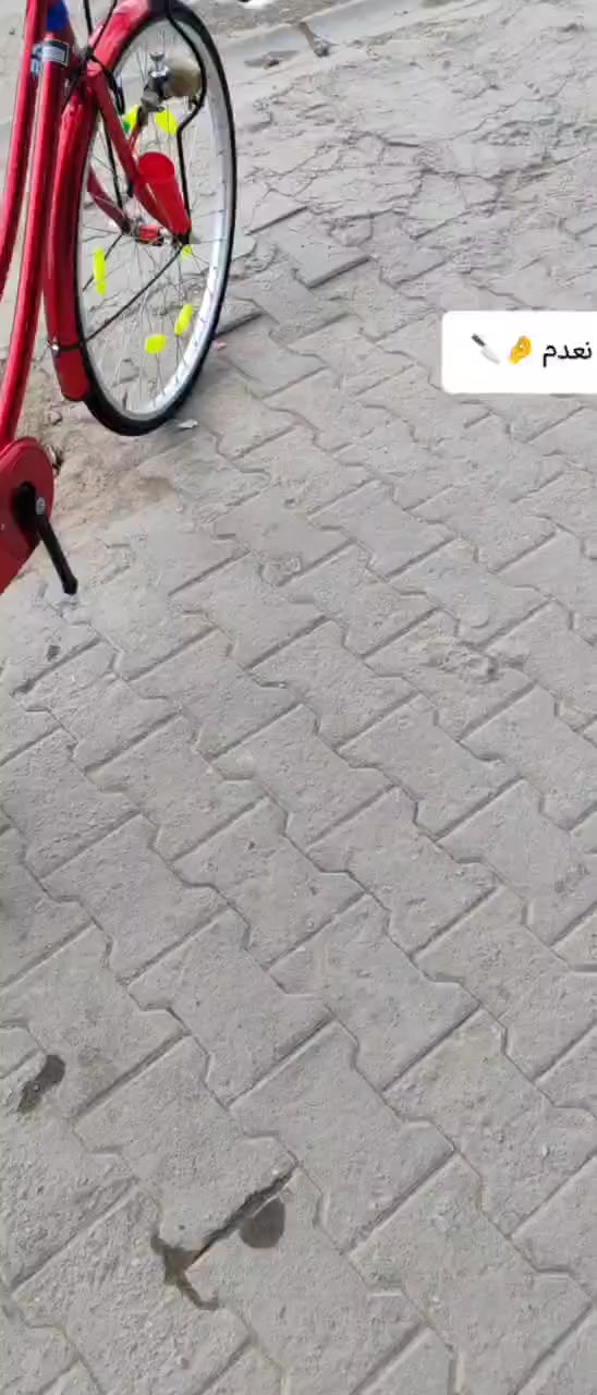 لبيع شركة بيدي نضافة 95 سعر خاص


**إذا كنت صاحب هذا الإعلان وتريد حذفه لأي سبب، رجاءا أرسل رسالة إلى الدعم الفني**