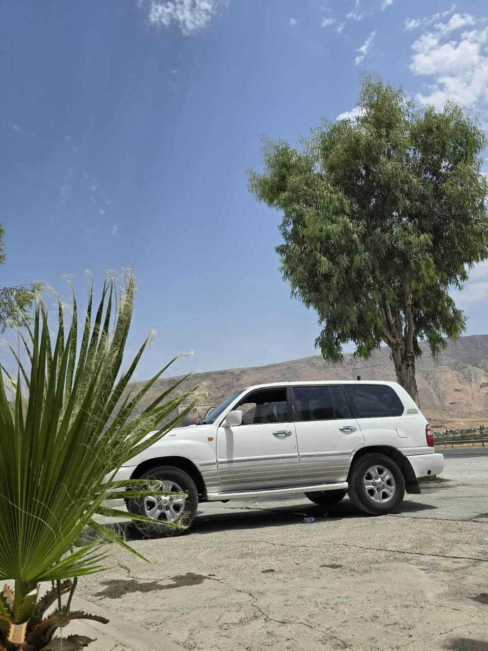 مۆنیکا ۲۰۰۰۰
ڕەقەم ئەصڵی بغداد 
ئاڕمی سلێمانی پلاستیک 
غەڕامەو ئەوەلیات بەشەرت 
مەکینەو گێڕ وئەکسڵ بەشەرت 
کراوەتە غاز . غازی ایطاڵی زۆر کەم دەخوات 
عام نیە بە عام دەیفڕۆشم 
سەیارەیەکی زۆر قیت و جوانە نەکەوتووە ماڵی دۆستە فول عادیە شاشەیە و تەبریدە جوابی نامە نادەمەوە لە واتسئاپ نامە بنێرە ۰۷٥۰،۷۱٦۱۱٥٤ أربيل, العراق
