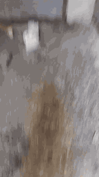 شغل درجة أولى • سمنت • جص بورك