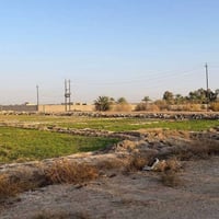 ٧ دونم • طابو زراعي سند ٢٥ • الرمادي زنكورة