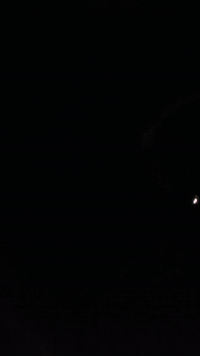 كيبورد هايبر اكس اورجنز
ميكانيكي سويتچ احمر 
هيكل المنيوم 
الحالة جديد اوبن بوكس 
نقص الكيبل 
السعر ما اعرف و بحث على صفحات المتاجر ما عارضين مثلة حتى احكم عليه، لكن في الموقع الالكتروني الرسمي للشركة سعره تقريبا 110 دولار ، اكتبوا سعر للراغب و ان شاء الله متفقين
توصيل متوفر لكل العراق


**إذا كنت صاحب هذا الإعلان وتريد حذفه لأي سبب، رجاءا أرسل رسالة إلى الدعم الفني**