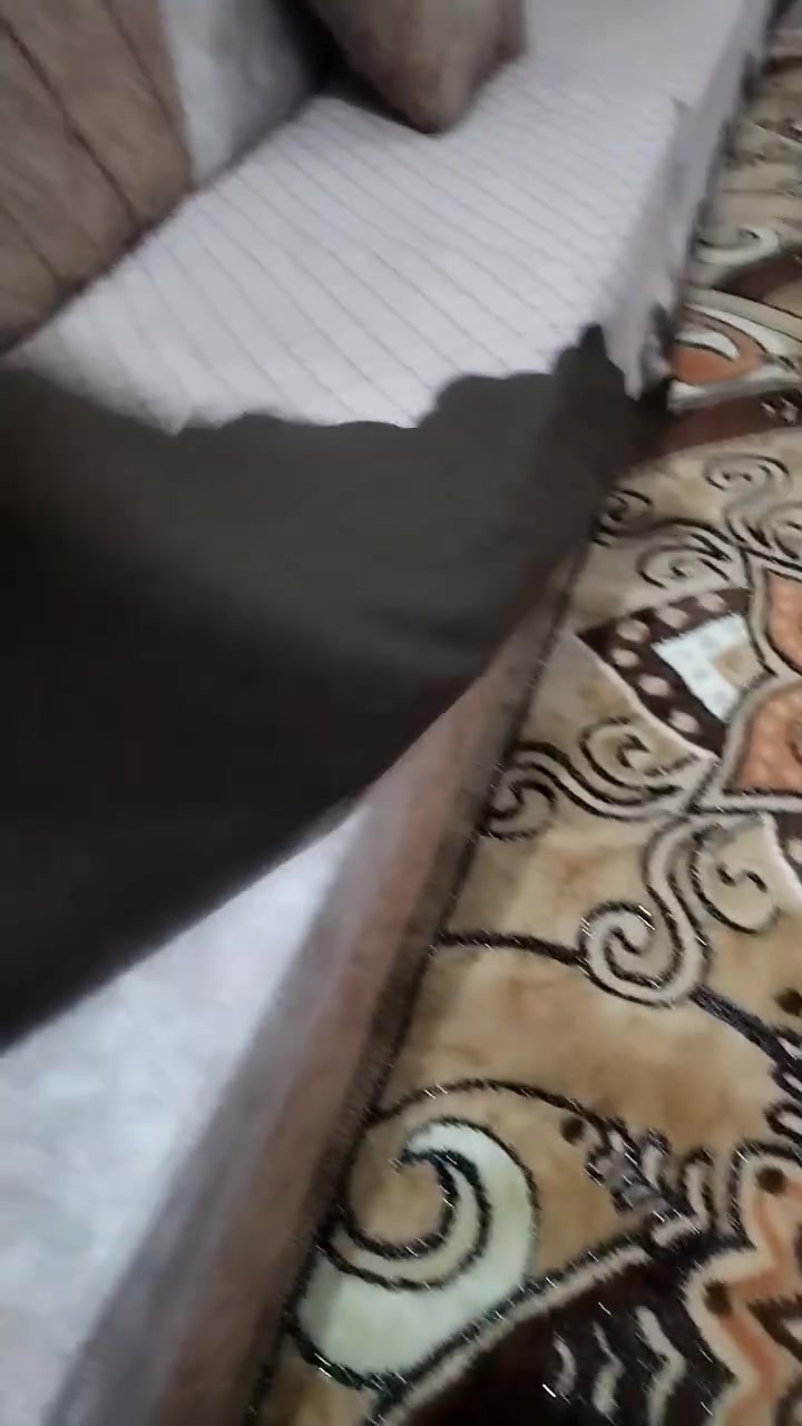أغراض للبيع نضيفه جدا


**إذا كنت صاحب هذا الإعلان وتريد حذفه لأي سبب، رجاءا أرسل رسالة إلى الدعم الفني**