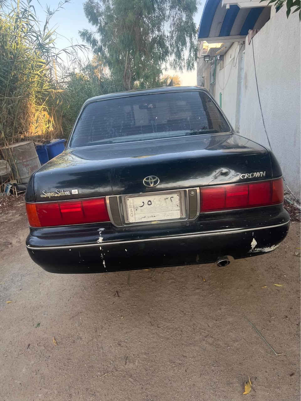 ‎سلام عليكم أرنب لبيع مكفوله منضربه ولكصه ***********‎ البصرة, العراق
