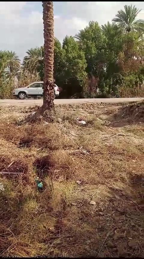 توجد لدينا قطع اراضي للبيع مساحه ٩٠٠ متر ملك صرف في كربلاء شارع الحافظ قرب مجمع فلل الفردوس تفاصيل أكثر اتصل ***********و ***********

