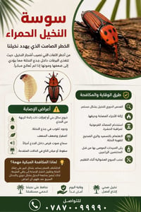 سوسة النخيل • مكافحة مبكرة • الحلة بابل