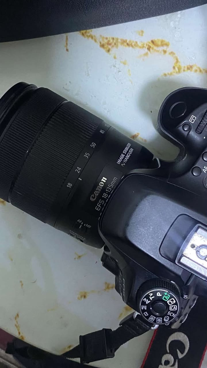 canon 80d  + 18-135mm 
دقه لفديو كلش عاليه ولصور واضح ودقة فول 
مستعلمة ونظيفه 
 تجي وياها جن وحزام وشاحنه وبطارية 
ملاحظه بس باب لبطارية شوي راخي محرد تصليح بسيط عند اي ابو كاميرات ومتفطى ولاتنزل لباطرية ابد 
سعرها 800 وبيها مجال 
مكاني البصره الجمعيات


**إذا كنت صاحب هذا الإعلان وتريد حذفه لأي سبب، رجاءا أرسل رسالة إلى الدعم الفني**