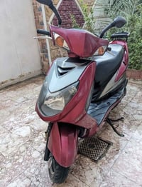 سكنس فحل • نظيف • نقص دشبول