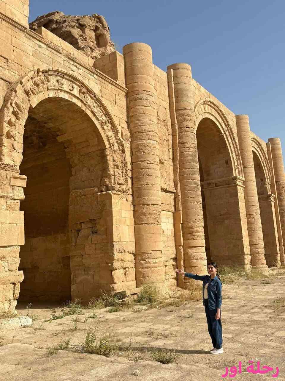 #سفرة 😘#العيد_السعيد 🎊🏃🏻‍♂️اخر سفرات الموسم الى #الموصل 😍 الحدباء🛕ام الربيعين🌷 بتاريخ 5/26 لمدة 5 ايام سافر مع الشركة الاولى في العراق التي نفذت برنامج الموصل . الاستفسار اكثر عن الرحلة والاماكن *********** واتساب 📲سنزور خلال سفرتنا 27 موقع سياحي اثري ديني تراثي ترفيهي ثقافي 😍⛰️🏝️🛕
-------------------------------------------
{ النفر 165 الف } والاطفال من 5 الى 9 سنوات 90 الف مقعد بالباص والاطفال تحت الخامسة مجانا 🤗

#السعر_يشمل 👈🏽النقل باحدث الباصات المكيفة🔸جولات سياحية مكثفه يوميا🔸سكن فندق 4 نجوم حقيقي وسط الموصل🔸وجبات افطار اوبن بوفيه🔸مرشد سياحي متمرس وشرح عن معالم المدينة والاماكن السياحية والاثرية بالتفصيل🔸اسئلة ومسابقات وجوائز🔸ضيافة داخل الباص )
--------------------------------------
للحجز والاستفسار الاتصال على ارقام الشركة 📲
او زيارة مقر الشركة الكائن في بغداد - البنوك .
🔴الحجز عن طريق الواتساب والدفع عن طريق زين كاش او ماستر كارت 🔴

🚌 الانطلاق من الكرخ المنصور ساحة اللقاء
 والرصافة شارع فلسطين تقاطع الموال 🚌 

ارقام الشركة ☎️☎️
‏(***********)📞 📲واتساب + اتصال 
(***********)📲واتساب
