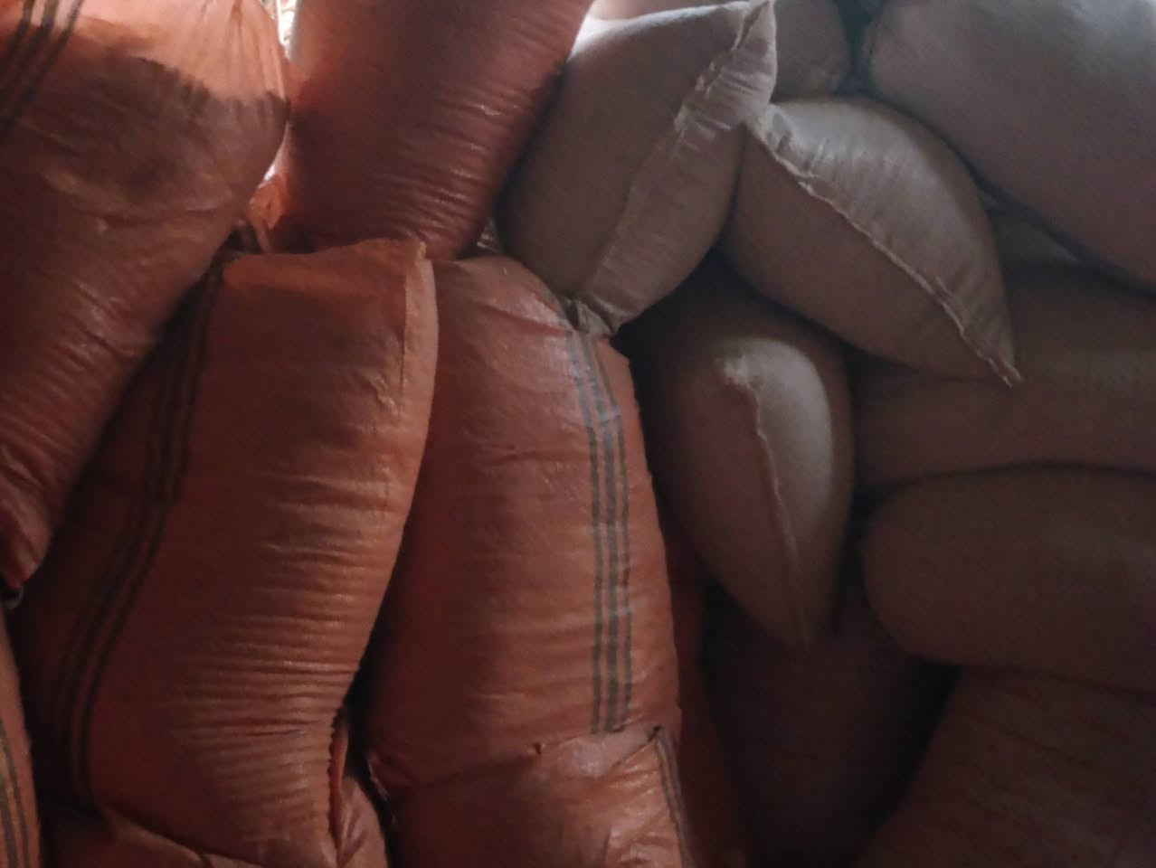 سلام عليكم يوجد تبن مطحون طحنته لحلالي بيه شليف وبيه أقل إلي يريدهن يقيم بما يرضي الله مكاني نجف حي ميسان 
***********
