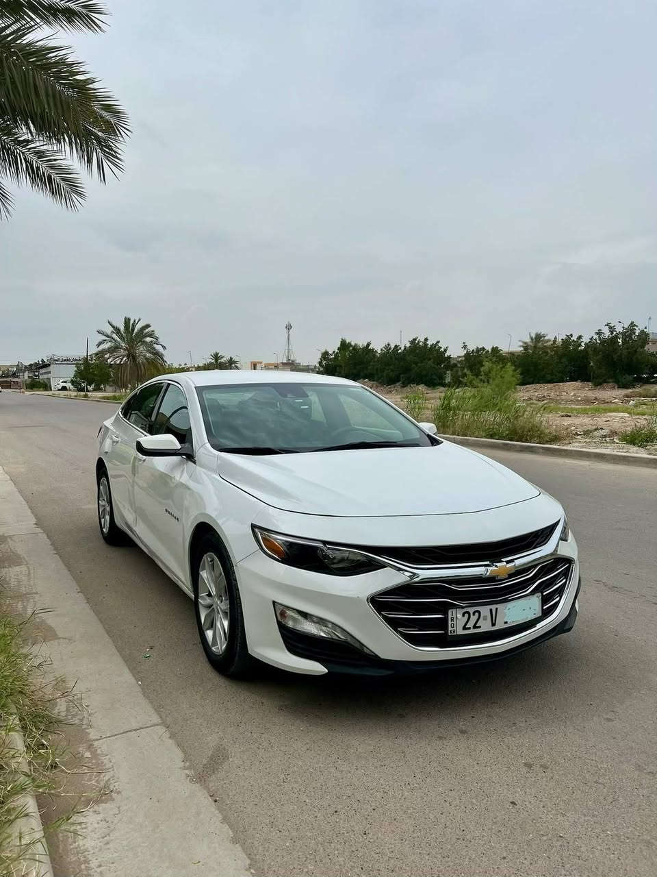 السلام عليكم
للبيع ماليبو 2024 LT2 رقم اربيل بأسمي تحويل مباشر . 

السيارة حادثها من امريكا الباب عكس السايق فقط والايرباك بردة طاگ والصور حادث موجودة بالمنشور.

السيارة حاليا ماشية 24 mi فقط ومناقصها شي تصرف عليها 

مواصفات السيارة:
مكينة 1500 turbo / بصمة تشغيل عن بعد / رادارات جانبية / حساسات خلفية / رادار امامي توقف ذاتي / قطعتين تبريد / كشن تدفئة / تبريد بيانو / تحديد مسار / مثبت سرعة
باقي المواصفات المعروفة

مكاني بغداد / الكرخ

السعر : 145$ وبي مجال 

للاستفسار :   /متوفر واتساب
***********
