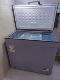 مجمدة • فول نظافة