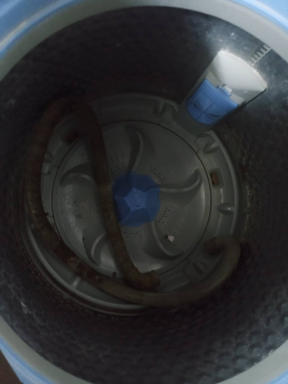 سلام عليكم غساله البيع شغاله على الفحص بس الكاعيه مالتها ماكوله قيم وخذها


**إذا كنت صاحب هذا الإعلان وتريد حذفه لأي سبب، رجاءا أرسل رسالة إلى الدعم الفني**