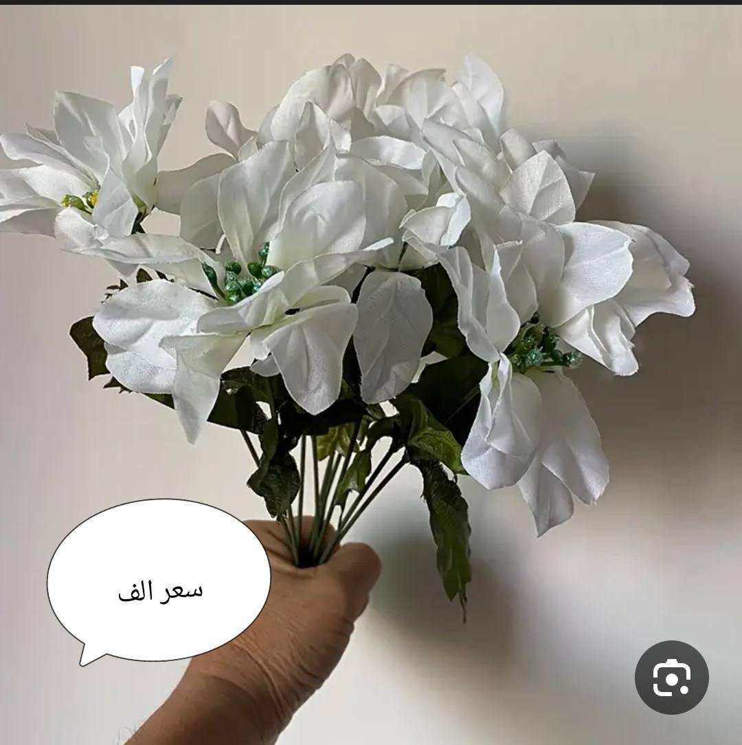 مجموعة ادوات منزلية الاسعار والتفاصيل بالصور
للحجز والاستفسار واتساب ***********

يوجد توصيل لكل محافضات العراق

#أمزون #اوربي #سروال #طلعة #كشخة #ستايل #نسائي #ملابس #منزلي #مطبخ
