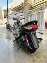 سكنس • معدل فول • مامفتوح