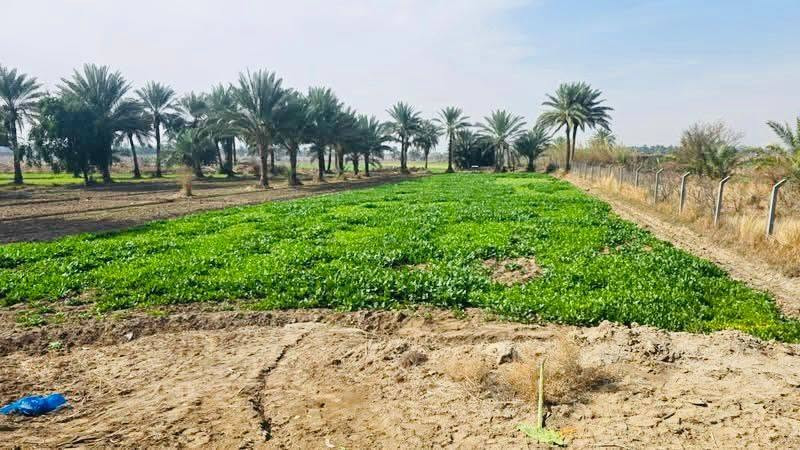 السلام عليكم شكد تريد موجود اليعجبك متوفر المساحات مخلتفه
طابو زراعي 25 تحويل مباشر بسم المشتري ما عليها كل مشاكل شغلنه أمن وأمان وضمان مساحات حلوه تريد سكن تريد مزرعه تريد استثمار من الدونم للستين دونم للاستفسار مراسلة الصفحة أو اتصال *********** 
@إشارة @#الجميع
