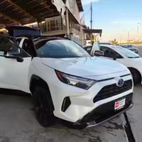 رافور هايبرد • ٢٠٢٤ • ضرر