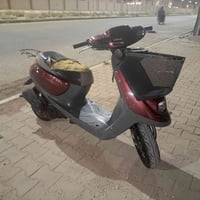 منغولي • جاهزه • نقوصات بسيطة