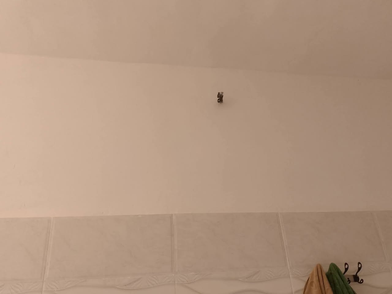 كادرالبخ جص من موصل شغلوجاهز نتصل***********
شغل عل مصاطر وعل خيط🧵البيت طول٣يام نخلصو تريد شوف شغل بعينك حاضر الخاص مفتوح
