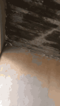 كادر لبخ شغل درجه وله تلث قوط لط جص بورك  شتغل كباله وعل متر وعل يوميه...