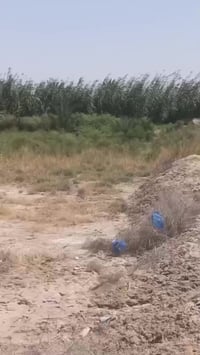 بالشوفة • سيطرة ال جيريج • ١٥٠٠م