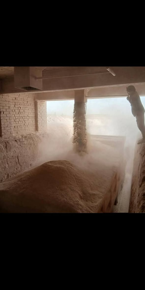 جص الكرمه الجزيره ع فحص حمل فول جص ع فحص الكميه 150كونيه اذا جص مو زين او حمل مو زين يرجع) ه‍ ***********
