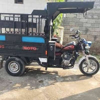 ستوته • موديل 2020 • اوراق كاملة