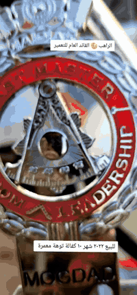 ستوتة • مديل 2022 • شطرة