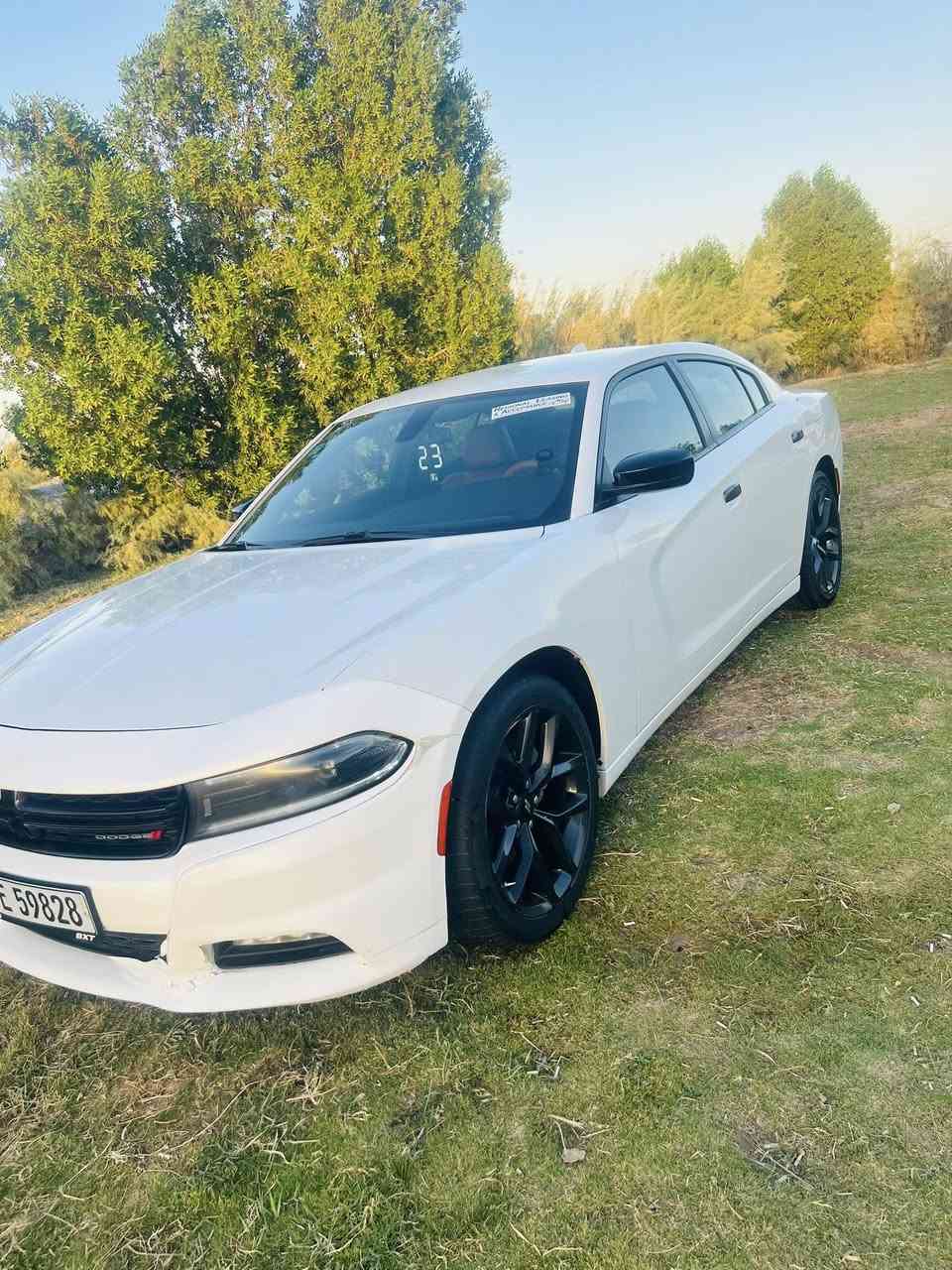 السلام عليكم
جارجر موديل 2023  اصل ماشيه 50 mi  وارد امريكي sxT لوّن ابيض كفاله عامه من الصبغ والحادث كير محرك شرط الفحص  تايرات لوك  حداديه امامي خلفي لوك رقم بغداد نكليزي   بسمي تريد وكاله مداور مواصفات كتاب الفحص موجود بالمنشور 

شاشه كبيره  

كشنات كهرباء 

كاميرا خلفيه 

بلوتوث اوكس وفلاش

تبريد قطعتين

تحكمات ستيرن

تشغيل عن بعد

بصمات ابواب وصندوق

كتلوك الشركه

هواي بي مواصفات مذاكرهن

ويل كب 20

لايت زنون

محرك 3600

ستخدام شخصي تكسي 

ابد مامشتغله  والله مكان سياره

شطره قضاء النصر

تصل وبالخدمه

*********** 

***********
