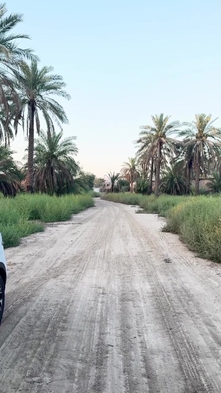سلام عليكم 1000 متر طابو زراعي سند 25 تحويل بسم المشتري تبعد عن الشارع 150 متر وجه 40 متر الاستفسار ***********
