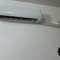 سبلت • طن ونص • موسم واحد