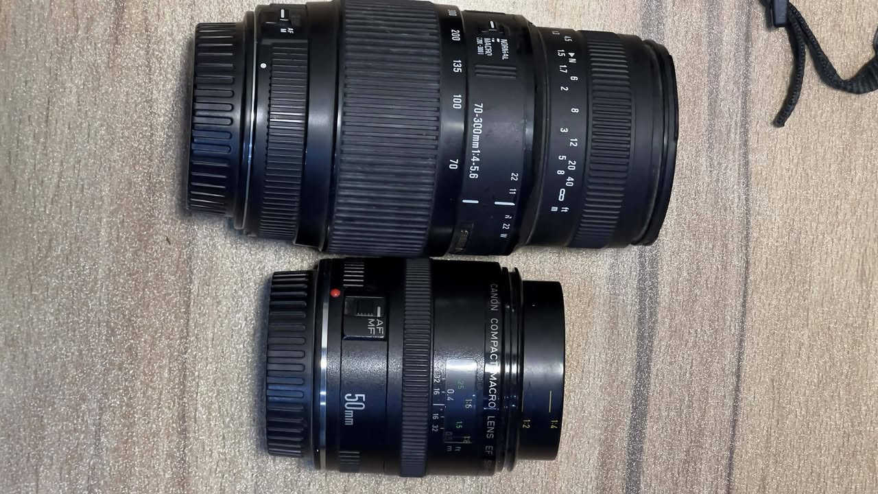 البيع كلهن 900


**إذا كنت صاحب هذا الإعلان وتريد حذفه لأي سبب، رجاءا أرسل رسالة إلى الدعم الفني**