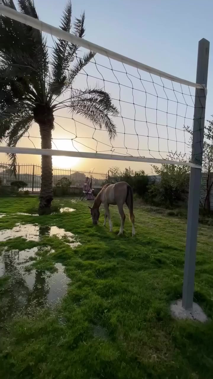 مزرعة الزعفران الشاطئية موثق في تطبيق أجرلي متوفر حجز اغلب ايام الاسبوع للحجز والاستفسار : 
***********
*********** 
العنوان بغداد الزعفرانيه نهايه شارع الربيع مجاور مصنع ببسي بغداد….
