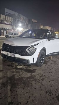 بانوراما • كشنات جلد كهرباء • تشغيل عن بعد